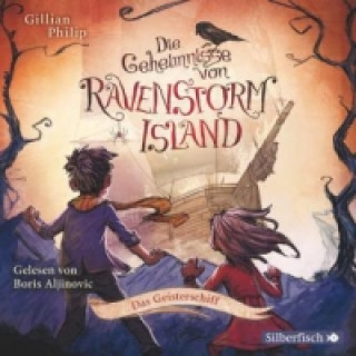 Audio Die Geheimnisse von Ravenstorm Island 2: Das Geisterschiff, 2 Audio-CDs Erin Hunter