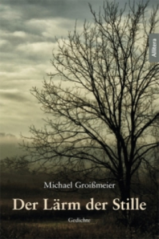 Libro Der Lärm der Stille Michael Groißmeier