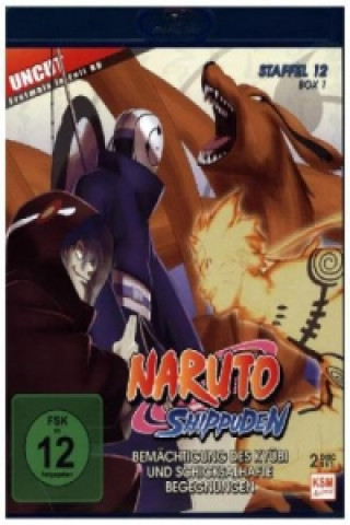 Video Naruto Shippuden - Bemächtigung des Kybi und schicksalhafte Begegnungen. Staffel.12, 2 Blu-rays Seiji Morita