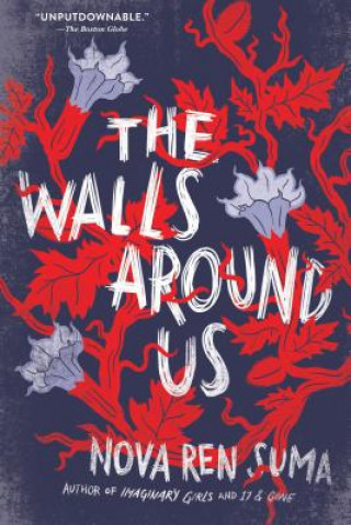 Book Walls Around Us Nova Ren Suma