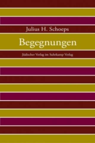 Könyv Begegnungen Julius H. Schoeps