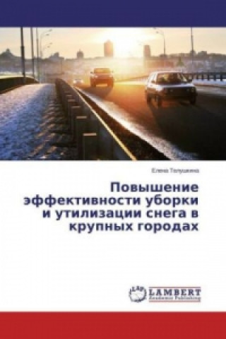 Könyv Povyshenie jeffektivnosti uborki i utilizacii snega v krupnyh gorodah Elena Telushkina