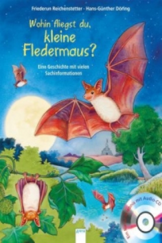 Könyv Wohin fliegst du, kleine Fledermaus?, m. Audio-CD Friederun Reichenstetter