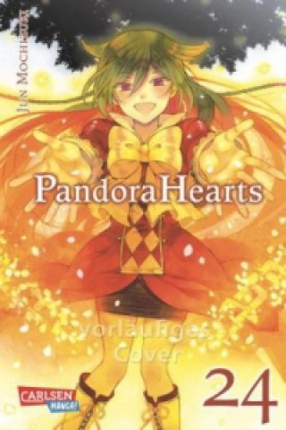 Kniha Pandora Hearts. Bd.24 Jun Mochizuki