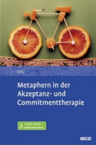 Kniha Metaphern in der Akzeptanz- und Commitmenttherapie, m. 1 Buch, m. 1 E-Book Norbert Lotz