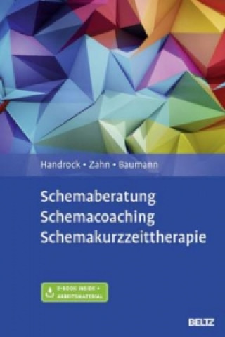Könyv Schemaberatung, Schemacoaching, Schemakurzzeittherapie, m. 1 Buch, m. 1 E-Book Anke Handrock