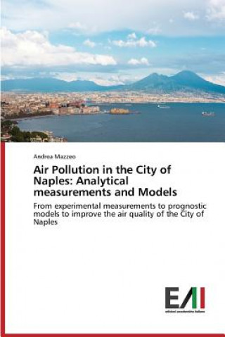 Kniha Air Pollution in the City of Naples Mazzeo Andrea
