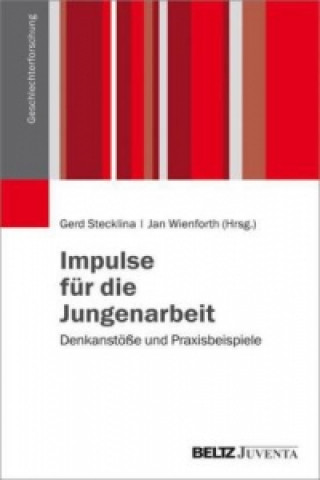 Kniha Impulse für die Jungenarbeit Gerd Stecklina