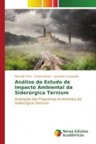 Könyv Análise do Estudo de Impacto Ambiental da Siderúrgica Ternium Marcelle Terra