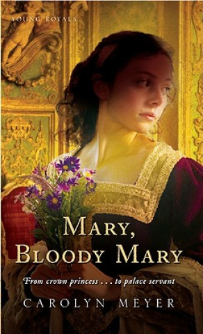 Kniha Mary, Bloody Mary Carolyn Meyer