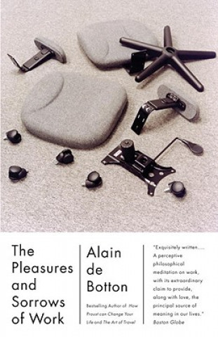 Kniha Pleasures and Sorrows of Work Alain de Botton