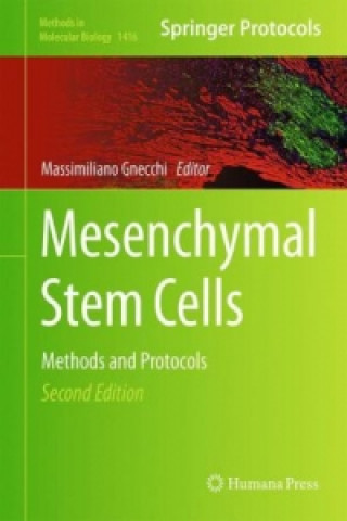 Książka Mesenchymal Stem Cells Massimiliano Gnecchi