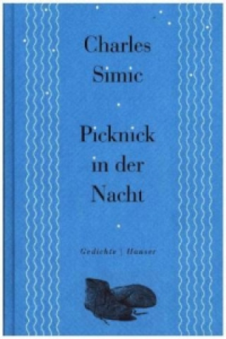 Knjiga Picknick in der Nacht Charles Simic