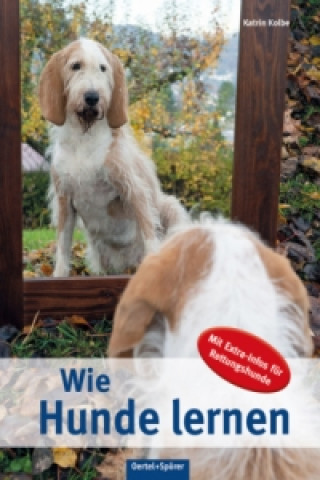 Book Wie Hunde lernen Katrin Kolbe