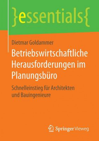 Kniha Betriebswirtschaftliche Herausforderungen im Planungsburo Dietmar Goldammer
