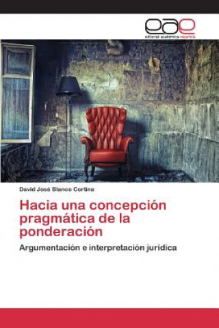 Libro Hacia una concepcion pragmatica de la ponderacion Blanco Cortina David Jose