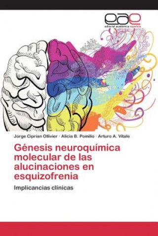 Książka Genesis neuroquimica molecular de las alucinaciones en esquizofrenia Ciprian Ollivier Jorge