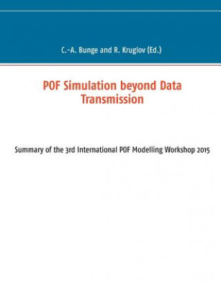 Könyv POF Simulation beyond Data Transmission Christian-Alexander Bunge