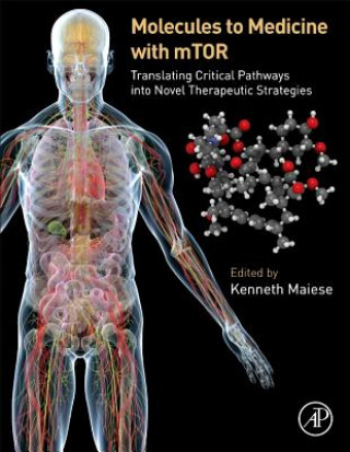 Kniha Molecules to Medicine with mTOR Kenneth Maiese