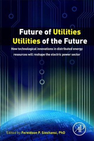 Knjiga Future of Utilities - Utilities of the Future Fereidoon Sioshansi