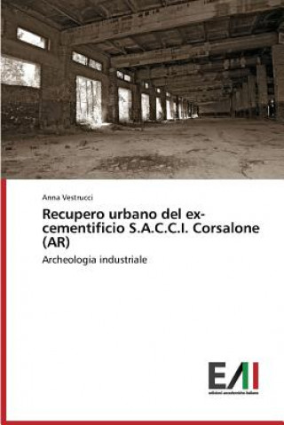 Könyv Recupero urbano del ex-cementificio S.A.C.C.I. Corsalone (AR) Vestrucci Anna