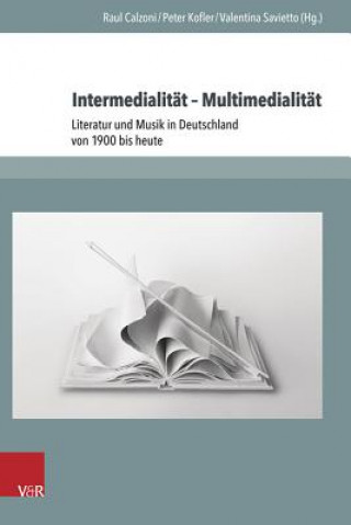 Książka Intermedialität - Multimedialität Raul Calzoni