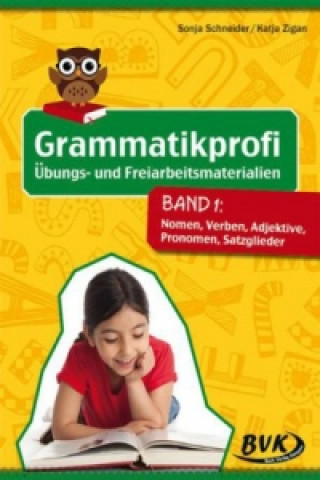 Kniha Grammatikprofi: Übungs- und Freiarbeitsmaterialien. Bd.1 Sonja Schneider