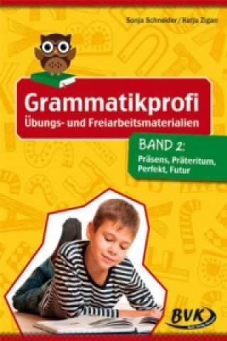 Kniha Grammatikprofi: Übungs- und Freiarbeitsmaterialien. Bd.2 Sonja Schneider