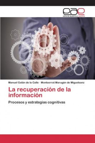 Книга recuperacion de la informacion Galan De La Calle Manuel