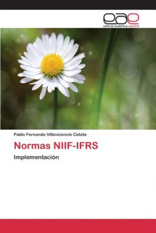 Kniha Normas NIIF-IFRS Villavicencio Catota Pablo Fernando