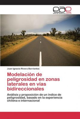 Livre Modelacion de peligrosidad en zonas laterales en vias bidireccionales Rivera Barrientos Juan Ignacio