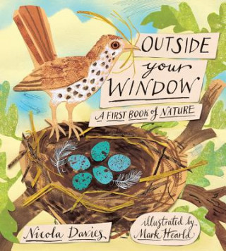 Kniha Outside Your Window Nicola Davies
