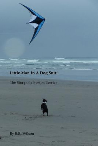 Kniha Little Man in a Dog Suit B R Wilson