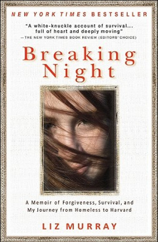 Kniha Breaking Night Liz Murray