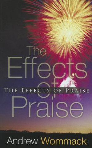 Kniha Effects Of Praise Andrew Wommack