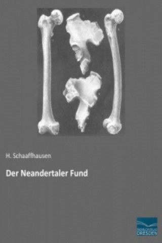 Książka Der Neandertaler Fund H. Schaaffhausen