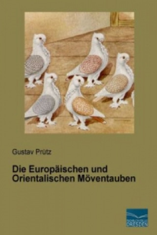 Carte Die Europäischen und Orientalischen Möventauben Gustav Prütz