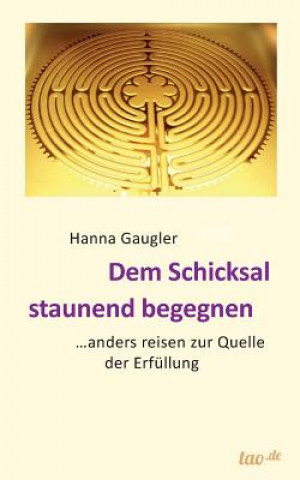 Kniha Dem Schicksal staunend begegnen Hanna Gaugler