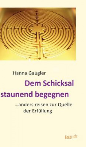 Kniha Dem Schicksal staunend begegnen Hanna Gaugler