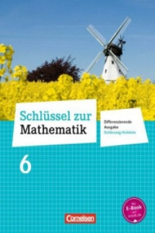 Kniha Schlüssel zur Mathematik - Differenzierende Ausgabe Schleswig-Holstein - 6. Schuljahr Helga Berkemeier