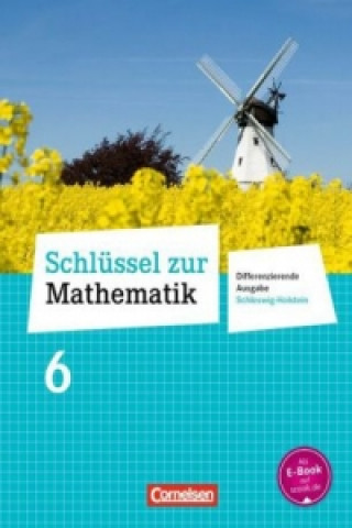 Book Schlüssel zur Mathematik - Differenzierende Ausgabe Schleswig-Holstein - 6. Schuljahr Helga Berkemeier