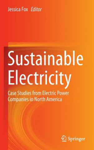 Kniha Sustainable Electricity Jessica Fox
