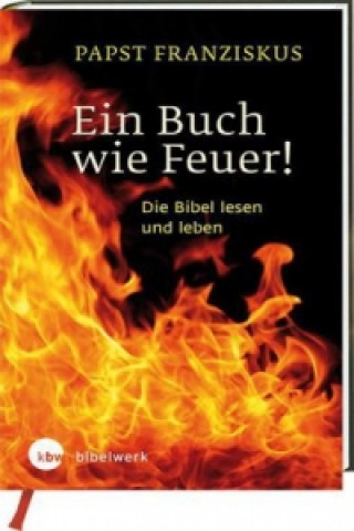 Könyv Ein Buch wie Feuer! Franziskus Papst