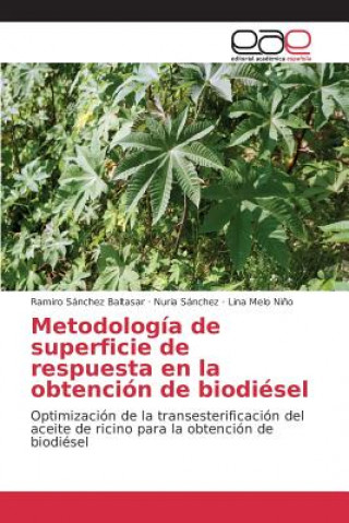 Kniha Metodologia de superficie de respuesta en la obtencion de biodiesel Sanchez Baltasar Ramiro