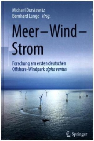Kniha Meer - Wind - Strom Michael Durstewitz