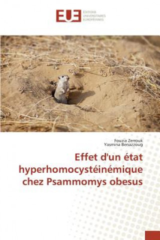 Könyv Effet d'un etat hyperhomocysteinemique chez Psammomys obesus Zerrouk Fouzia