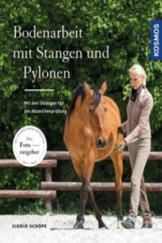 Könyv Bodenarbeit mit Stangen und Pylonen Sigrid Schöpe