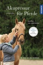 Carte Akupressur für Pferde Ina Gösmeier