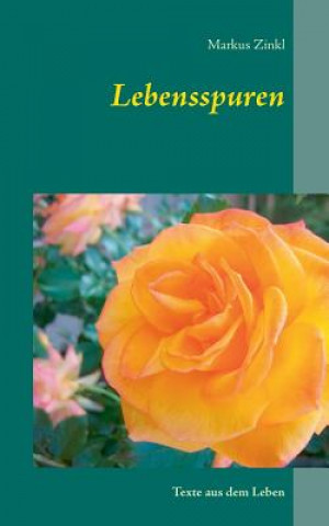 Livre Lebensspuren Markus Zinkl