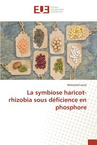 Książka symbiose haricot-rhizobia sous deficience en phosphore Lazali Mohamed